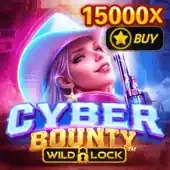 Cyber Bounty