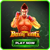 Boxing King