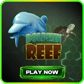 Dolphin Reef
