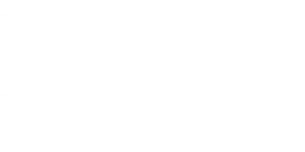 Yellow Bat